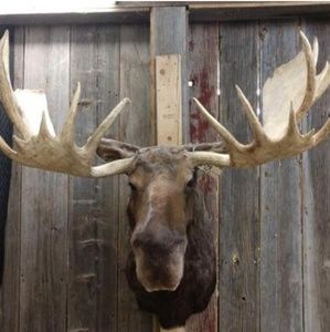 Meet your Posher, Kenneth